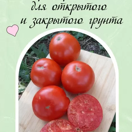 семена томата Арбузный красный
