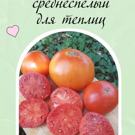 семена томата Подарок Украине
