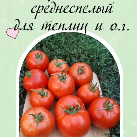 семена томата Колодец Неисчерпаемый