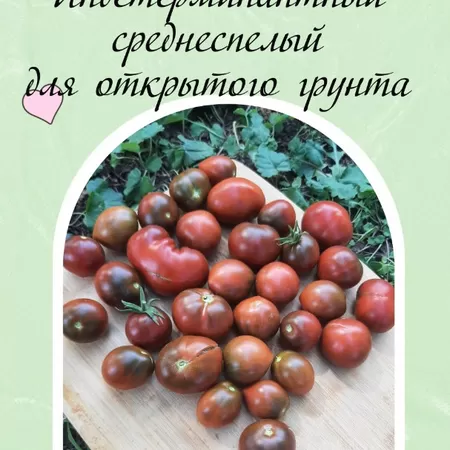  семена томата Альянс Повстанцев