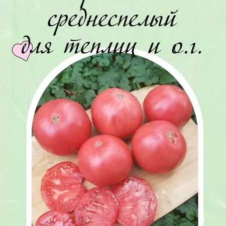 семена томата Выбор Билла Фасоли